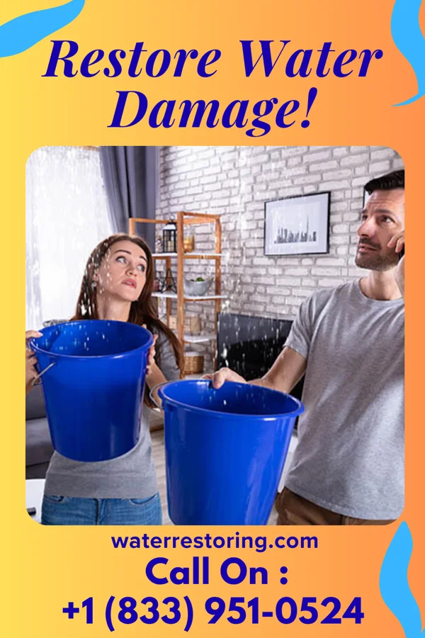 water restoration Shield Storm Recovery Co Chevy Chase