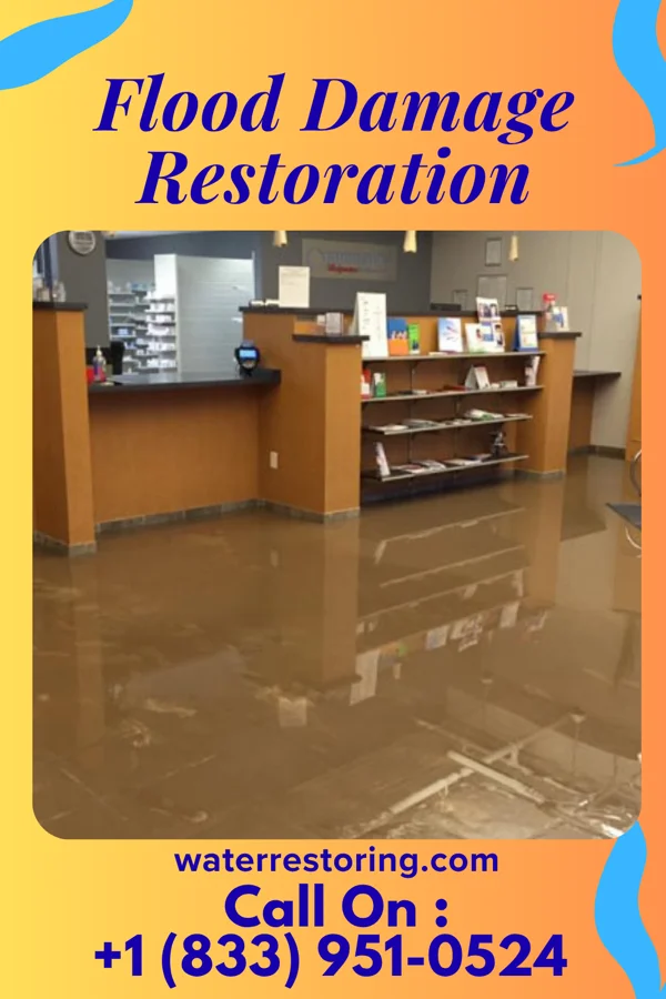 Flood Damage Restoration in Chevy Chase, MD