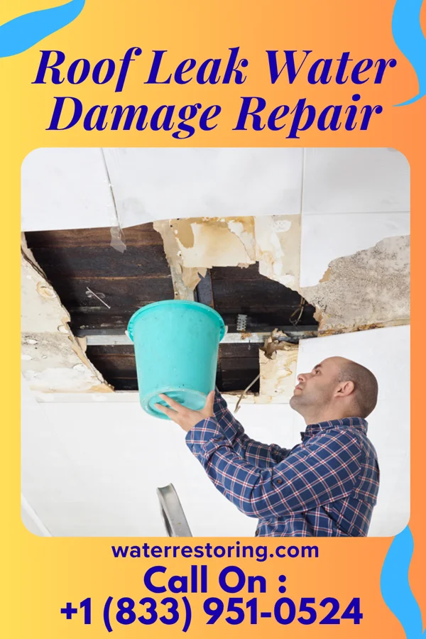Roof Leak Water Damage Repair in Chevy Chase, MD