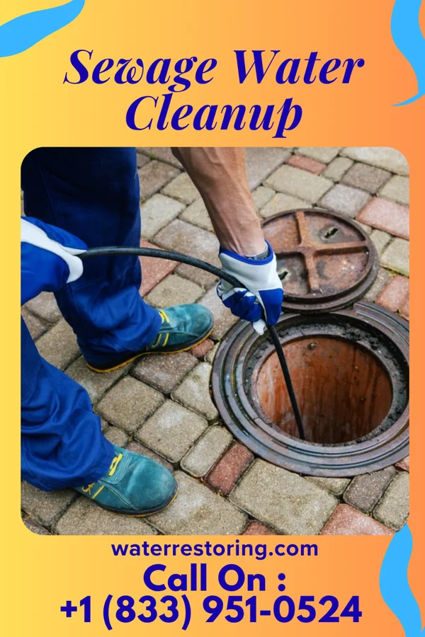 Sewage Water Cleanup in Chevy Chase, MD